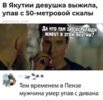 13359066.webp