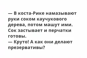 UID284243_1566118358_27.webp