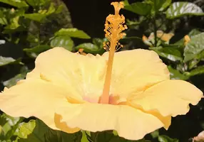 IMG_20190819_150806.webp