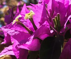 IMG_20190817_174124.webp