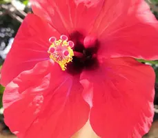 IMG_20190817_174037.webp