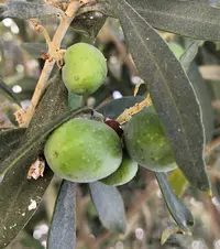 IMG_20190817_123550.webp
