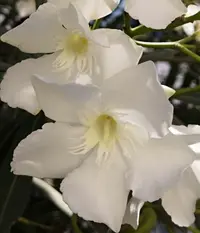 IMG_20190817_174412.webp