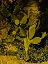 IMG_20190818_211029.webp