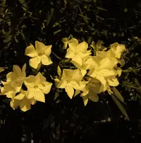 IMG_20190817_232027.webp