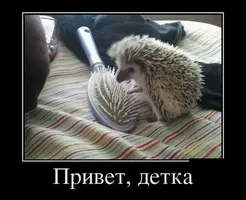 12E81DEF-AE61-44CE-960C-BCB73BC1AF15.webp