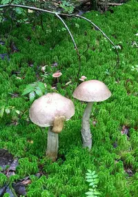 IMG_20190820_140605.webp