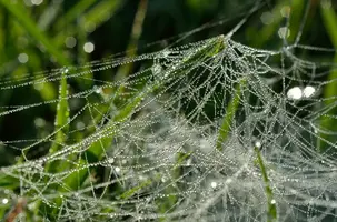 _DSC5628.webp