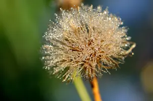 _DSC5612.webp
