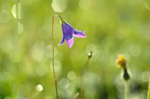 _DSC5647.webp
