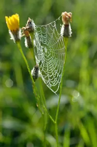 _DSC5640.webp