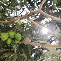 IMG_20190820_081926.webp