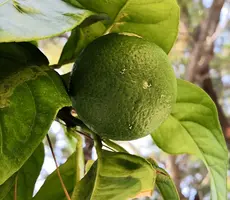 IMG_20190820_173004.webp