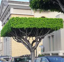 IMG_20190820_215333.webp