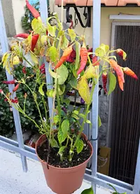 IMG_20190820_181020.webp