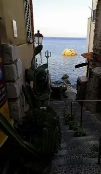 IMG_20190820_220210.webp