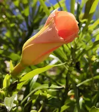 IMG_20190820_151236.webp