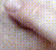x_Trim_20190726_120341.gif