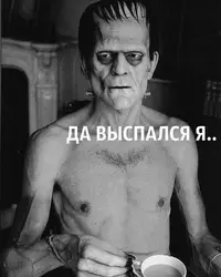 vyspalsja.webp