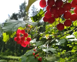 IMG_20190822_143244-min.webp