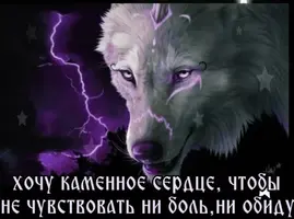 image1.webp