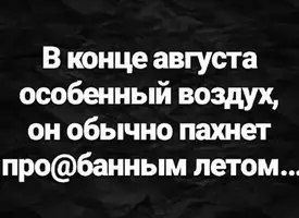 UID354837_1566574347_71-1.webp