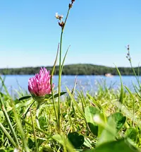 IMG_20190824_121613.webp