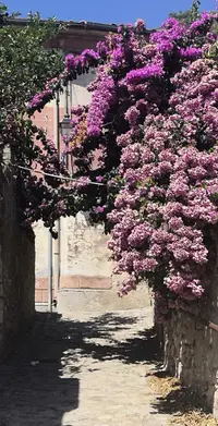 IMG_20190822_084021.webp
