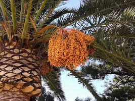 IMG_20190820_155441.webp