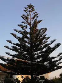 IMG_20190821_191622.webp