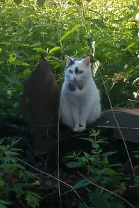 ййй.webp