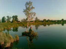 file002028.webp
