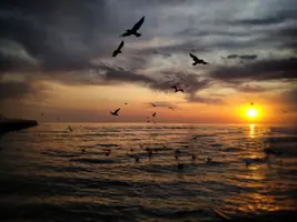 IMG_20190824_111723_523.webp