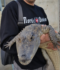 20171002_135741_crop_746x858.webp