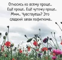 AR9iP_cr.webp