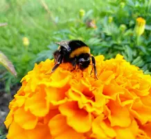 IMG_20190825_182419.webp