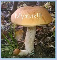 Gbq0kETEypU.webp