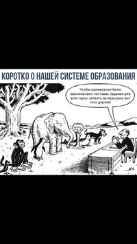 2FE7602D-B443-4602-810B-1974BA951687.webp
