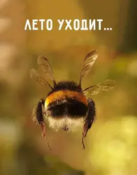 zrurblI2A6Y.webp