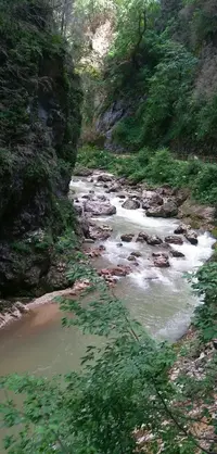 20180612_150852-1-619x1292.webp