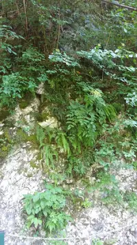 20180612_145617-1036x1842.webp
