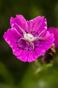 _DSC2510.webp
