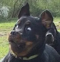 zTD3rFj4ZOc.webp