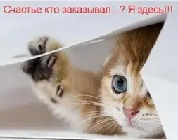 9089.webp