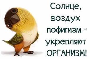 PuukhutMGM8.webp