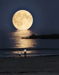 65020788339985797_so3IxqXv_c.webp