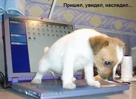 738308.webp