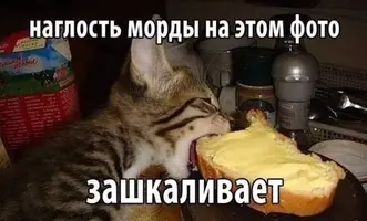 1114.webp
