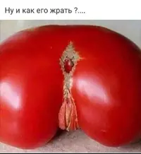 WhatsApp Image 2019-08-26 at 17.56.02.webp
