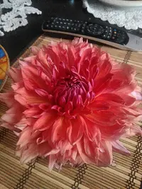 tmp-cam--623132847.webp